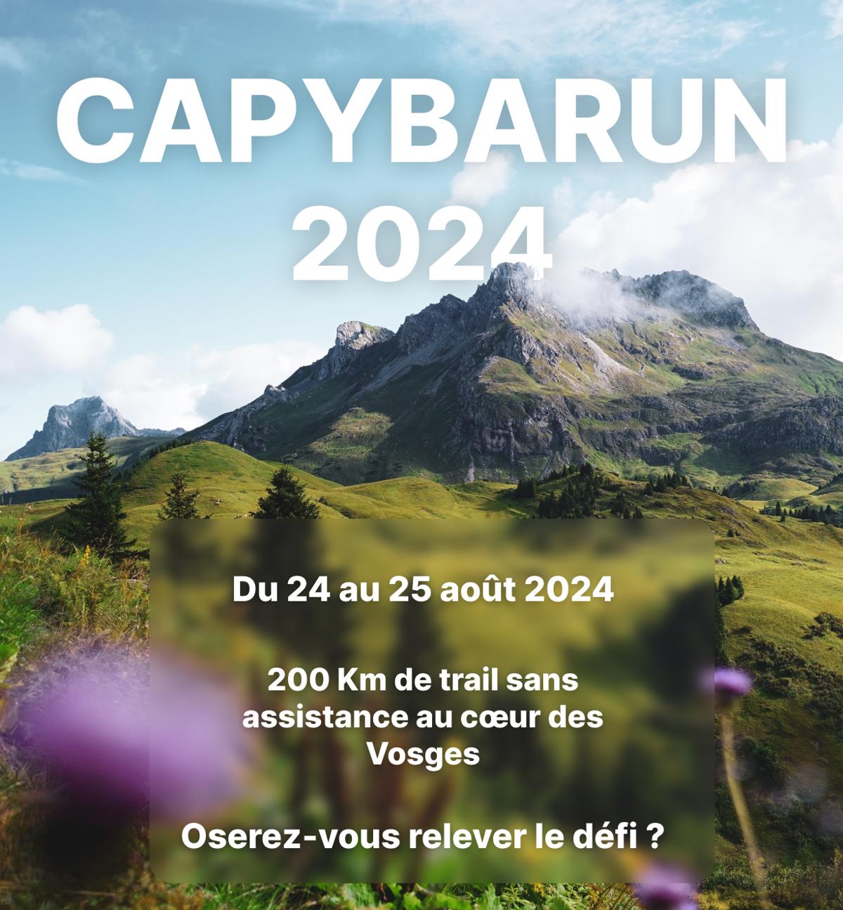Affiche de la Capybarun 2024