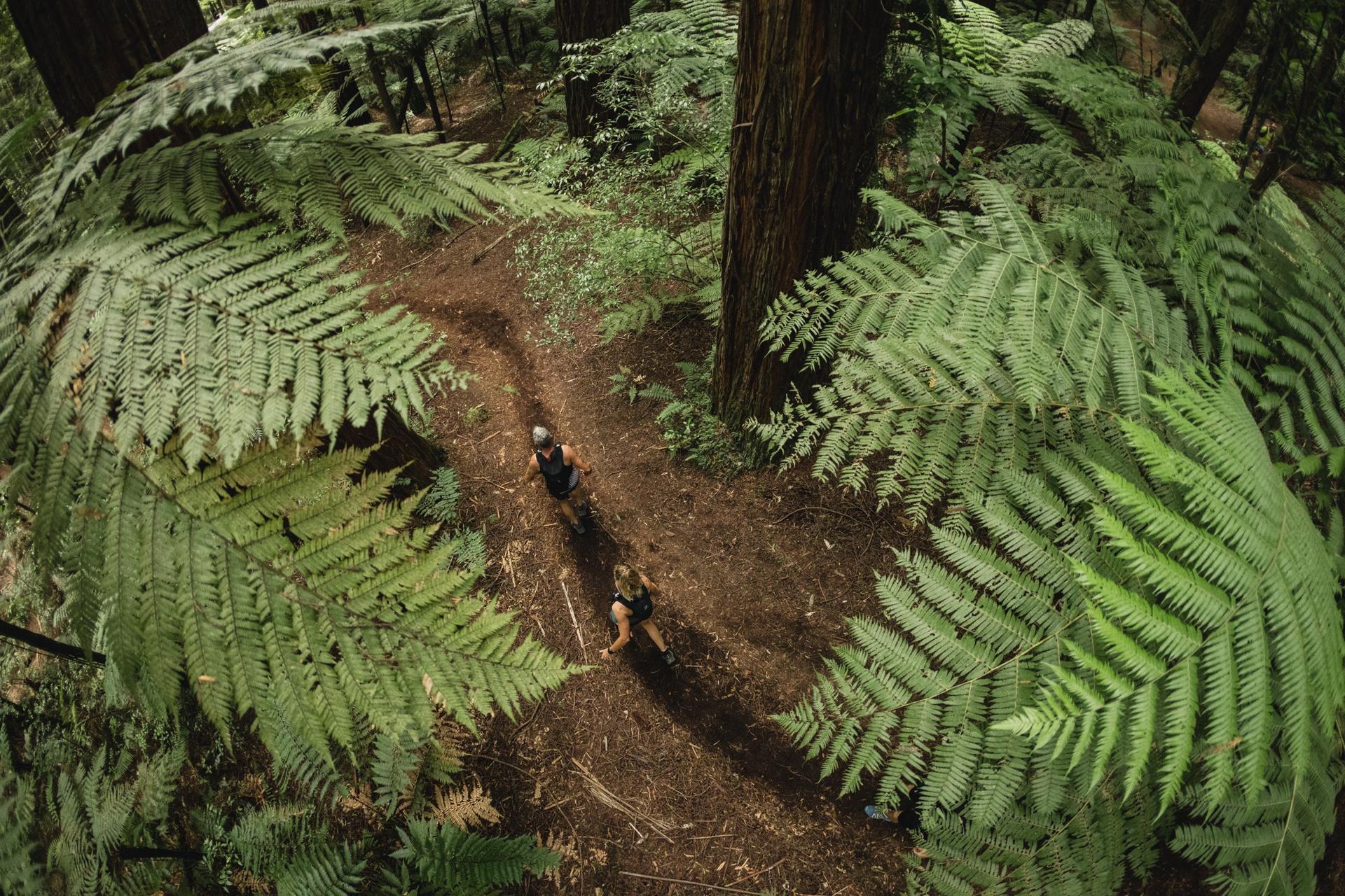 Des paysages à couper le souffle